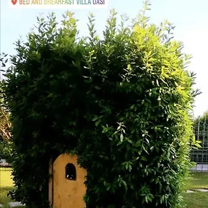 villa-oasi-san-giuliano-terme.it-tuscanyhotel.com/